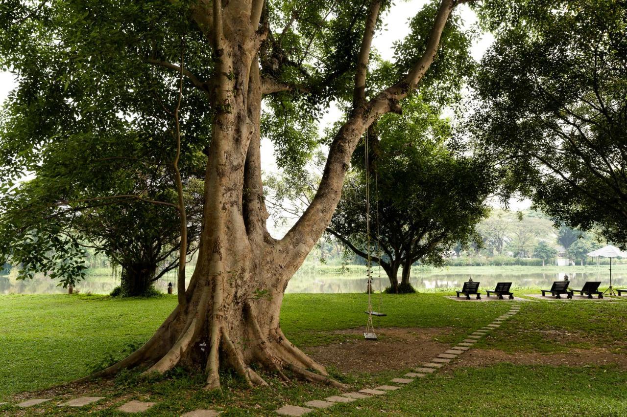The Legend Chiang Rai Boutique River Resort & Spa מראה חיצוני תמונה